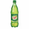 Canada Dry Ginger Ale 500ml