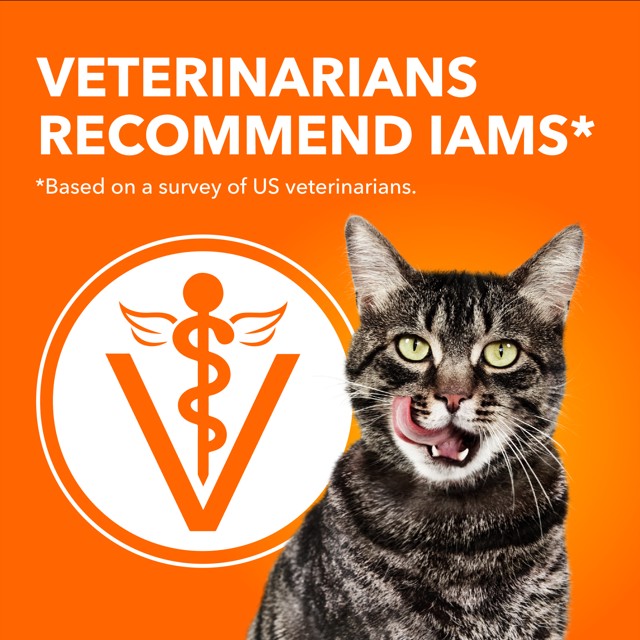 IAMS PROACTIVE HEALTH Adult Indoor Weight & Hairball Care Dry Cat Food Chicken & Turkey 3.2kg