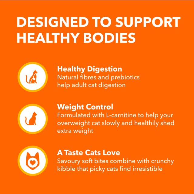 IAMS PROACTIVE HEALTH Adult Indoor Weight & Hairball Care Dry Cat Food Chicken & Turkey 3.2kg