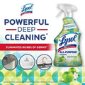 Lysol Disinfectant Spray - Apple Blossom